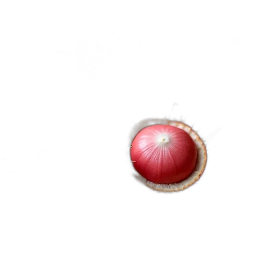 food, jewelry, crown, umbrella transparent PNG cut-out