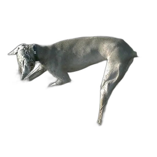 animal, creature, dragon, jewelry transparent PNG cut-out