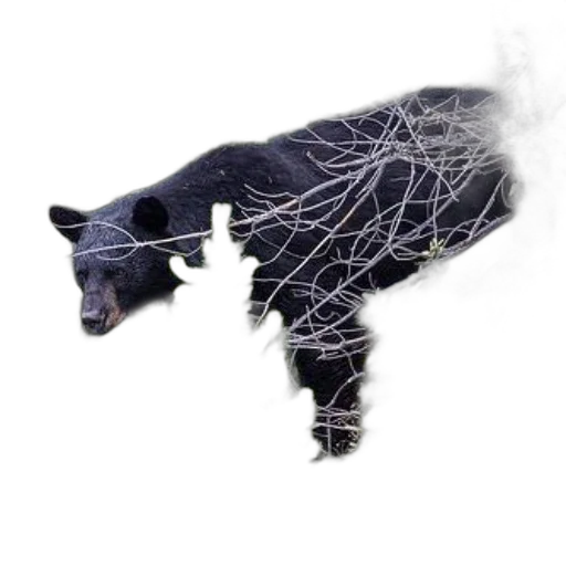 animal, creature, tree, dragon, concept art, photorealistic, fantasy art, fog transparent PNG cut-out