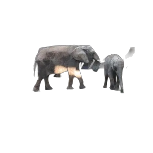 animal, furniture, creature, weapon, 3d render, concept art, photorealistic, oil painting transparent PNG cut-out
