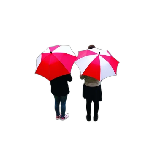 umbrella, jacket, hat, staff, 3d render, photorealistic, concept art, pixel art transparent PNG cut-out