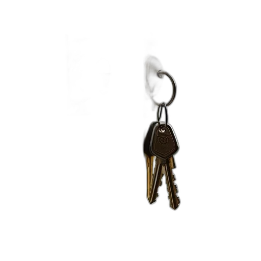 jewelry, staff, jacket, furniture, 3d render, house, key, set transparent PNG cut-out