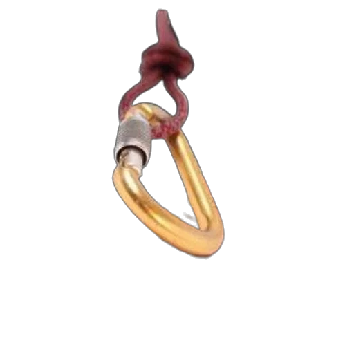 jewelry, crown, staff, weapon, 3d render, cover, blind, descent transparent PNG cut-out