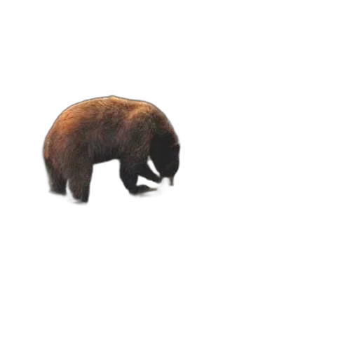 animal, creature, hair, weapon, concept art, 3d render, pixel art, photorealistic transparent PNG cut-out