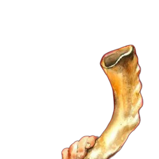 shoes, staff, food, weapon, watercolor, concept art, photorealistic, 3d render transparent PNG cut-out