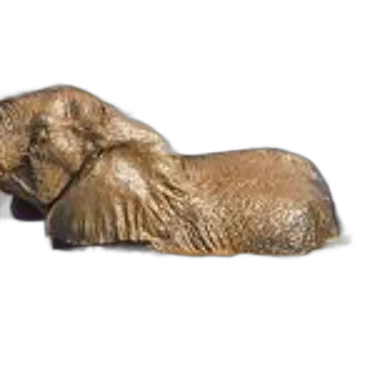 animal, jewelry, furniture, photorealistic, 3d render, elephant, wades, through transparent PNG cut-out