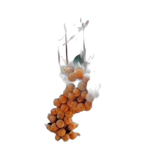 food, staff, jewelry, crown, 3d render, concept art, photorealistic, underwater transparent PNG cut-out