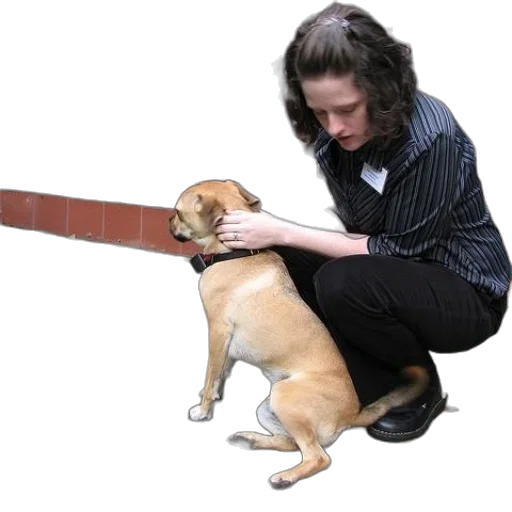 staff, animal, creature, weapon, woman, striped, shirt, pets transparent PNG cut-out