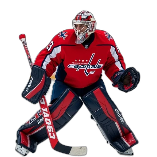 animal, robot, jacket, goalie transparent PNG cut-out