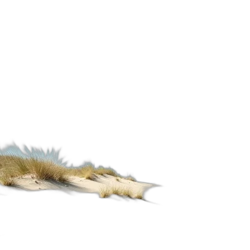 creature, dragon, animal, hair, 3d render, concept art, watercolor, photorealistic transparent PNG cut-out