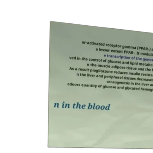 sword, text-heavy, image, discussing, role, ppar-γ, glucose, lipid transparent PNG cut-out