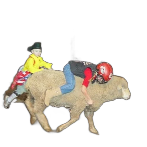 animal, 3d render, concept art, photorealistic, child, yellow, shirt, riding transparent PNG cut-out