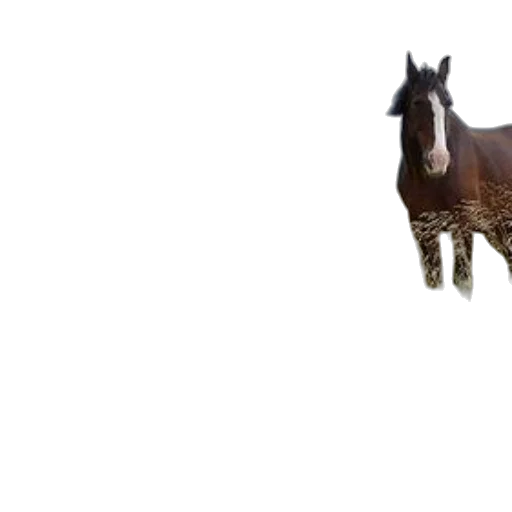 animal, creature, dragon, weapon, 3d render, photorealistic, concept art, pixel art transparent PNG cut-out