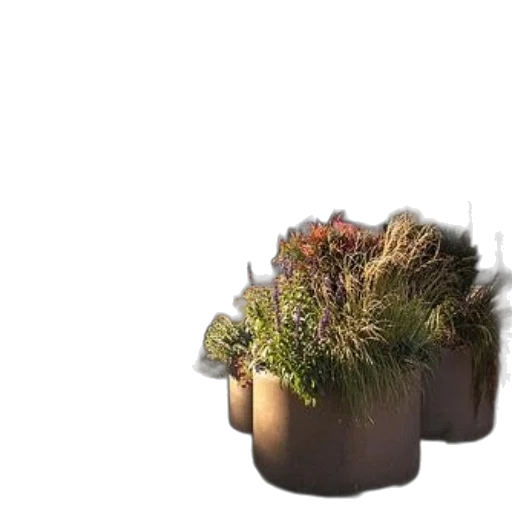 crown, hat, hair, flower, 3d render, photorealistic, concept art, pixel art transparent PNG cut-out