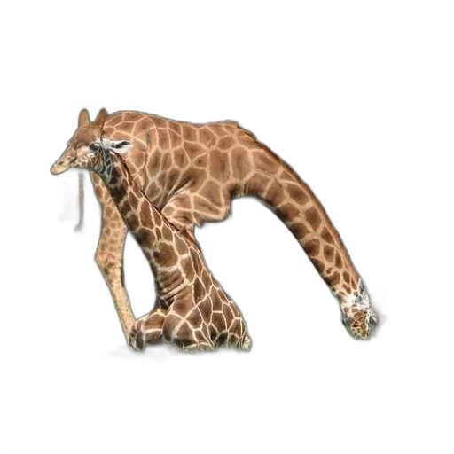 animal, creature, weapon, staff, concept art, 3d render, photorealistic, watercolor transparent PNG cut-out
