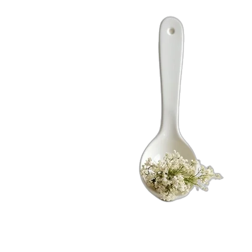 jewelry, food, weapon, flower transparent PNG cut-out
