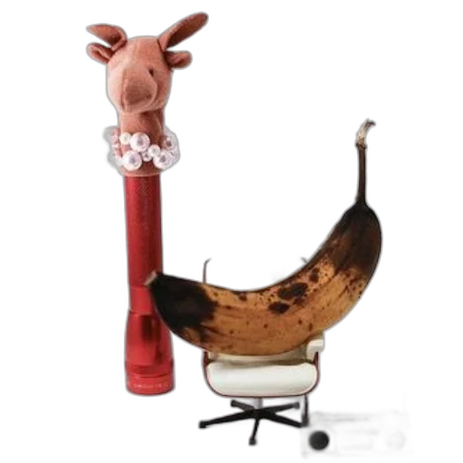 staff, furniture, animal, food, concept art, 3d render, photorealistic, whimsical transparent PNG cut-out
