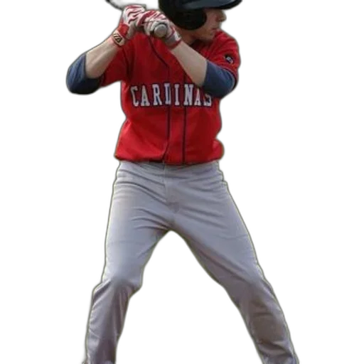 staff, weapon, animal, baseball, player, red, cardinals, jersey transparent PNG cut-out