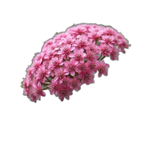 flower, crown, tree, hair, 3d render, photorealistic, oil painting, concept art transparent PNG cut-out