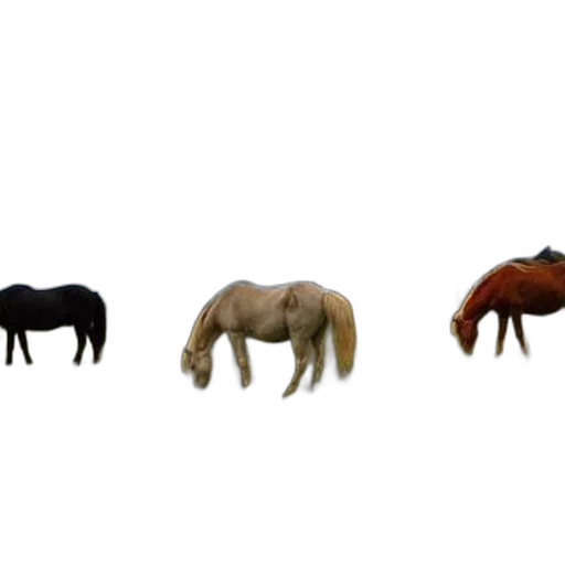 animal, furniture, hair, jewelry, 3d render, concept art, photorealistic, earth tones transparent PNG cut-out