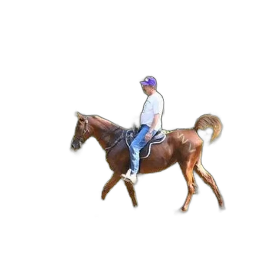 animal, staff, hat, creature, pixel art, concept art, oil painting, 3d render transparent PNG cut-out