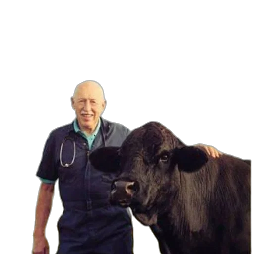 animal, staff, creature, food transparent PNG cut-out