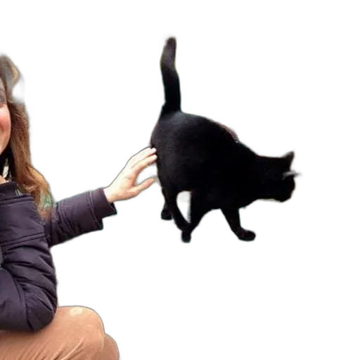 animal, hat, staff, creature, photorealistic, person, pets, black transparent PNG cut-out