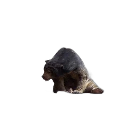 animal, creature, hat, mask, 3d render, photorealistic, concept art, pixel art transparent PNG cut-out