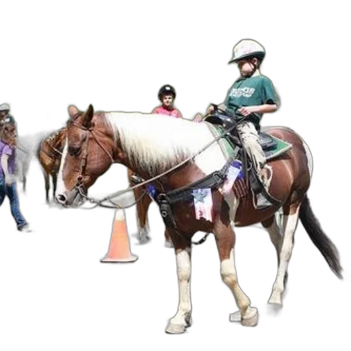 staff, concept art, 3d render, photorealistic, child, rides, decorated, horse transparent PNG cut-out