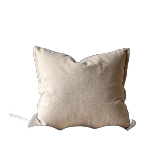 furniture, 3d render, photorealistic, earth tones, monochrome, natural, pillow, cushion transparent PNG cut-out