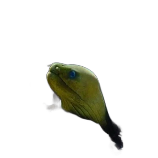 animal, creature, staff, face, 3d render, photorealistic, oil painting, concept art transparent PNG cut-out