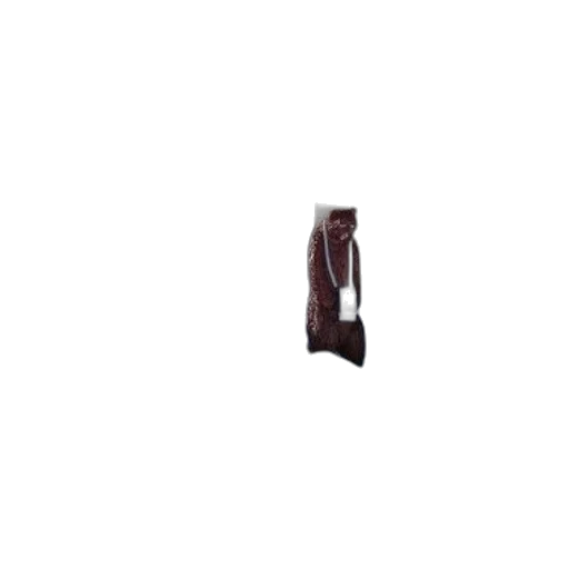 jacket, furniture, dress, staff, 3d render, photorealistic, dark, earth tones transparent PNG cut-out