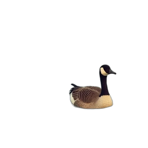 animal, hat, shoes, creature, 3d render, pixel art, photorealistic, flock transparent PNG cut-out