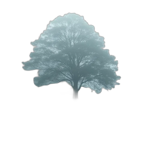 tree, crown, dress, hat transparent PNG cut-out