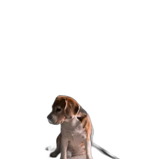 staff, animal, creature, weapon, 3d render, photorealistic, concept art, pixel art transparent PNG cut-out