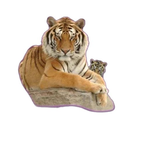 animal, furniture, creature, crown, 3d render, photorealistic, concept art, purple transparent PNG cut-out