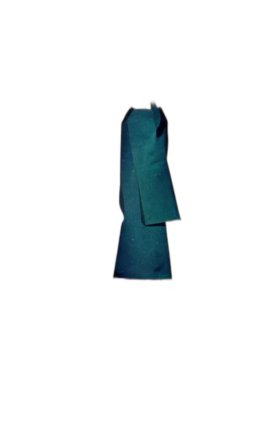 dress, jacket, umbrella, staff transparent PNG cut-out