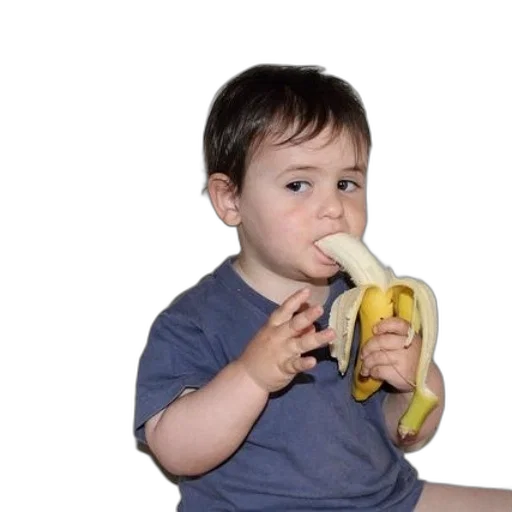 food, animal, weapon, creature, photorealistic, young, child, wearing transparent PNG cut-out