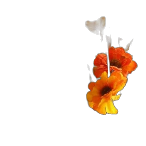 flower, food, crown, jewelry, 3d render, photorealistic, concept art, pixel art transparent PNG cut-out