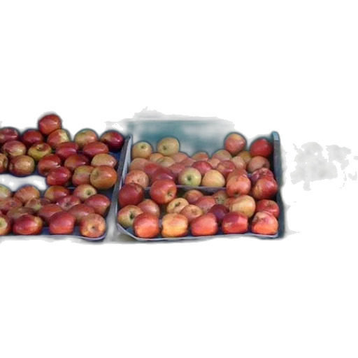 food, 3d render, photorealistic, fruit, stand, apples, oranges, display transparent PNG cut-out
