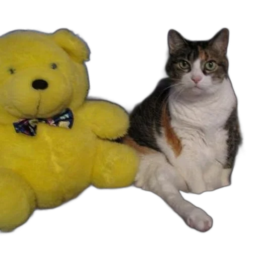 animal, staff, creature, cat, sits, next, yellow, teddy transparent PNG cut-out