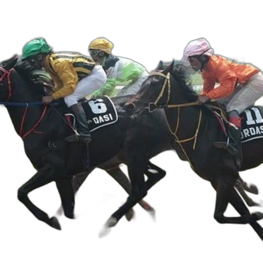 horse, racing, action, jockeys, colorful, outfits transparent PNG cut-out