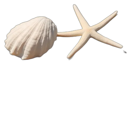 umbrella, hat, hair, food transparent PNG cut-out