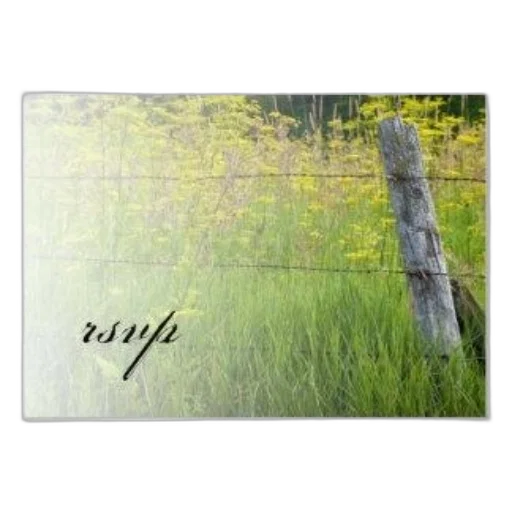 tree, photorealistic, forest, rustic, rsvp, card, serene, green transparent PNG cut-out