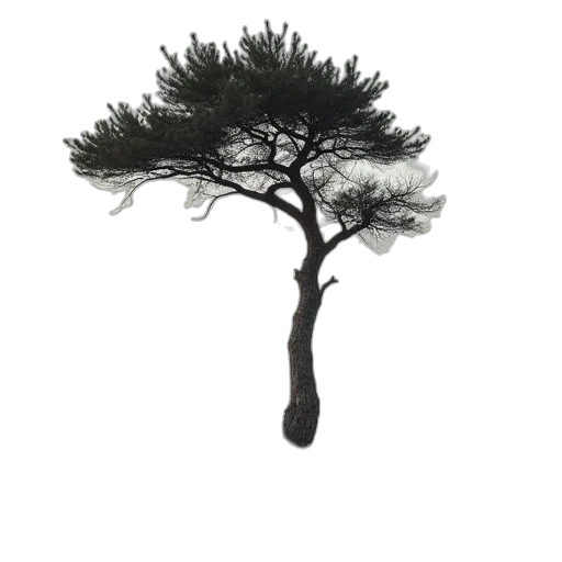 tree, hair, crown, animal transparent PNG cut-out