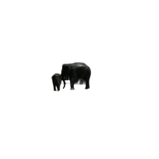 animal, creature, furniture, hair, pixel art, 3d render, concept art, elephants transparent PNG cut-out