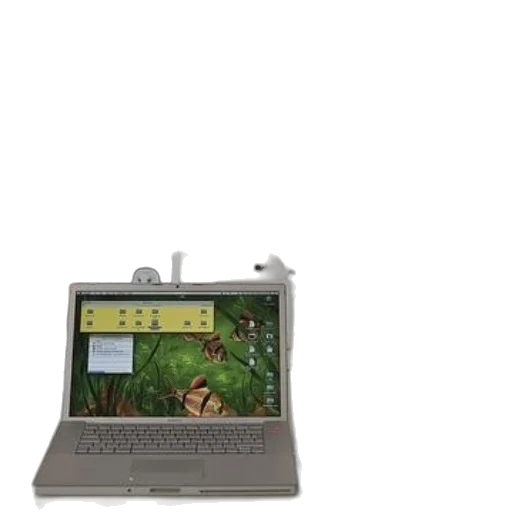 staff, robot, jewelry, animal, 3d render, workspace, laptop, displaying transparent PNG cut-out