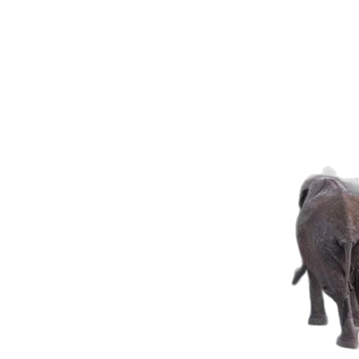 animal, creature, staff, photorealistic, 3d render, concept art, elephants, roam transparent PNG cut-out