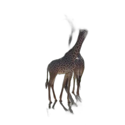 animal, creature, dragon, staff, 3d render, concept art, pixel art, fantasy art transparent PNG cut-out