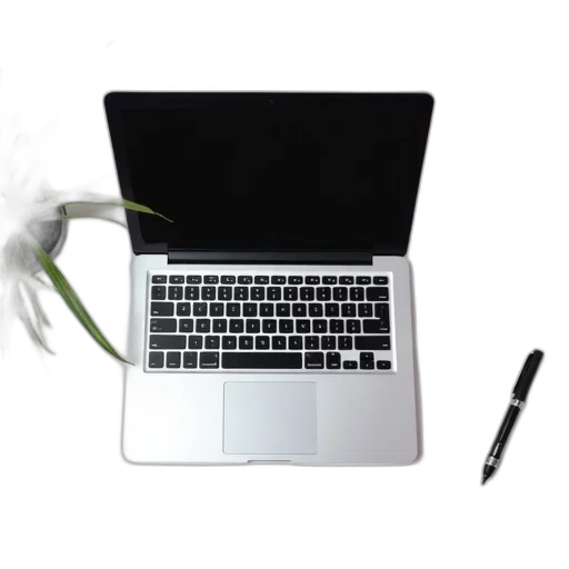 staff, jewelry, flower, weapon, monochrome, silver, laptop, open transparent PNG cut-out